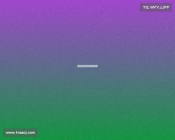 马刺队大放异彩，超越所有对手